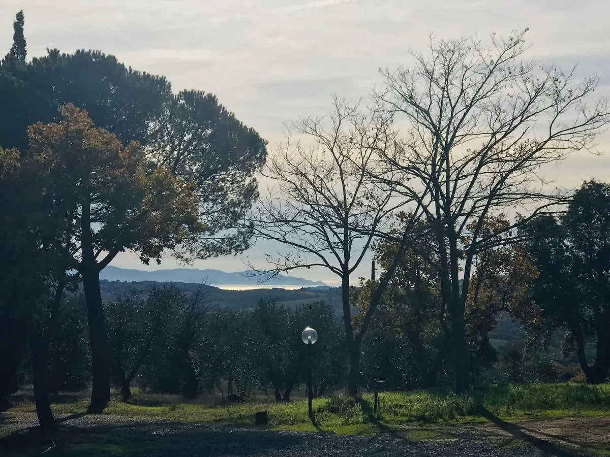 Tenuta Le Mandorlaie, Agriturismo In Scansano 0*,