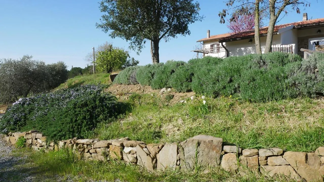 Tenuta Le Mandorlaie, Agriturismo In Scansano Farm stay