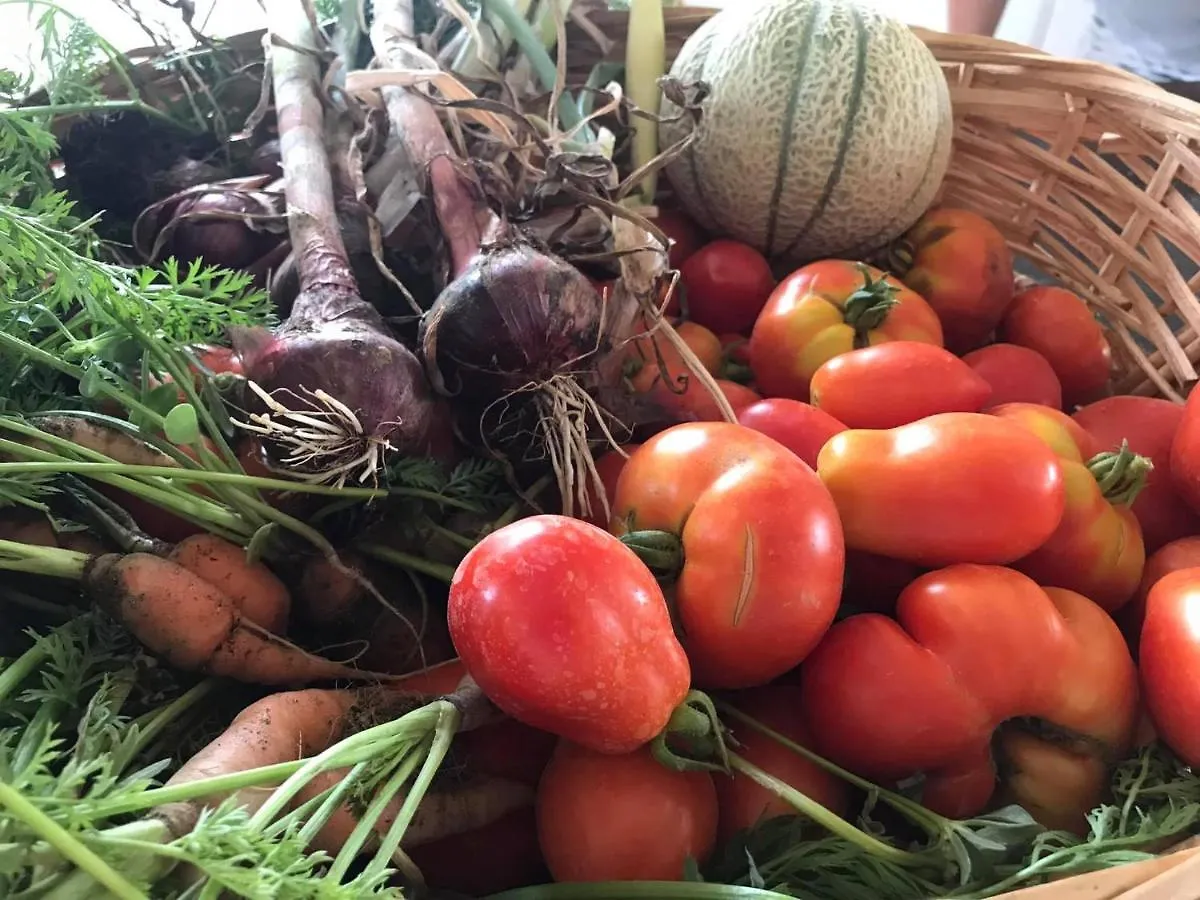Tenuta Le Mandorlaie, Agriturismo In Scansano Farm stay