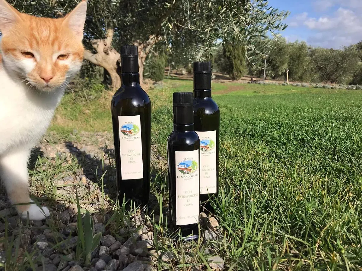 Tenuta Le Mandorlaie, Agriturismo In Scansano