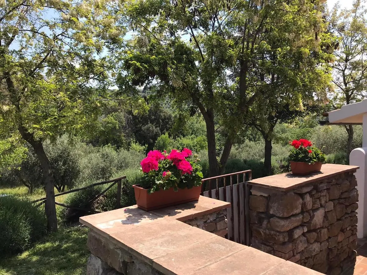 Farm stay Tenuta Le Mandorlaie, Agriturismo In Scansano
