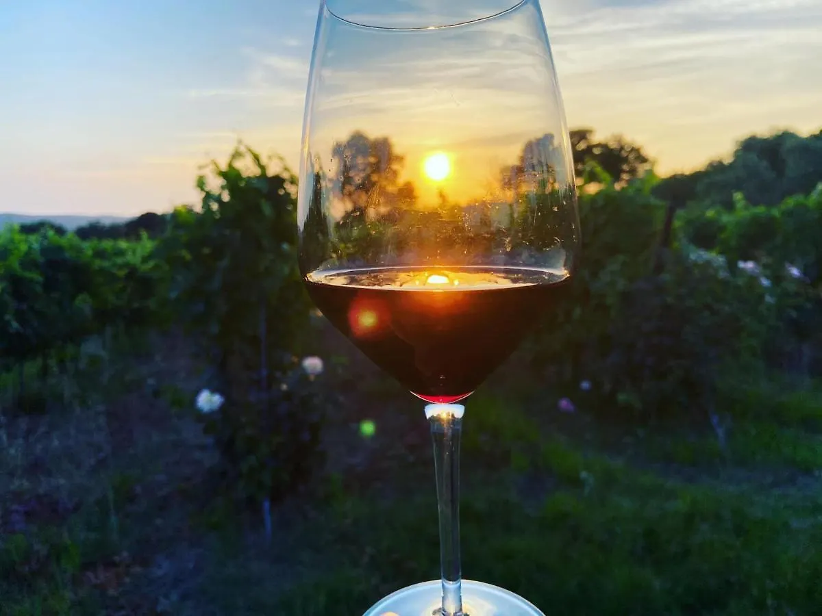 Tenuta Le Mandorlaie, Agriturismo In Scansano Italy