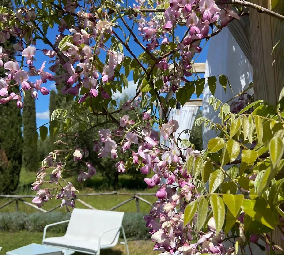 Tenuta Le Mandorlaie, Agriturismo In Scansano
