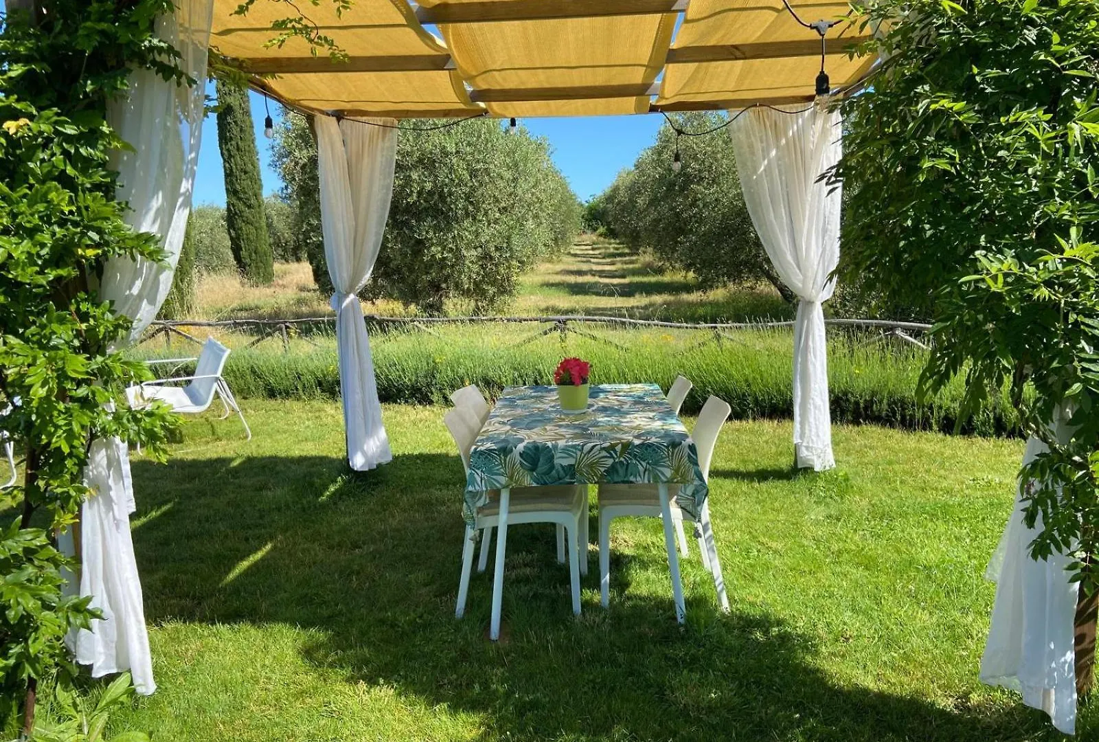 Farm stay Tenuta Le Mandorlaie, Agriturismo In Scansano