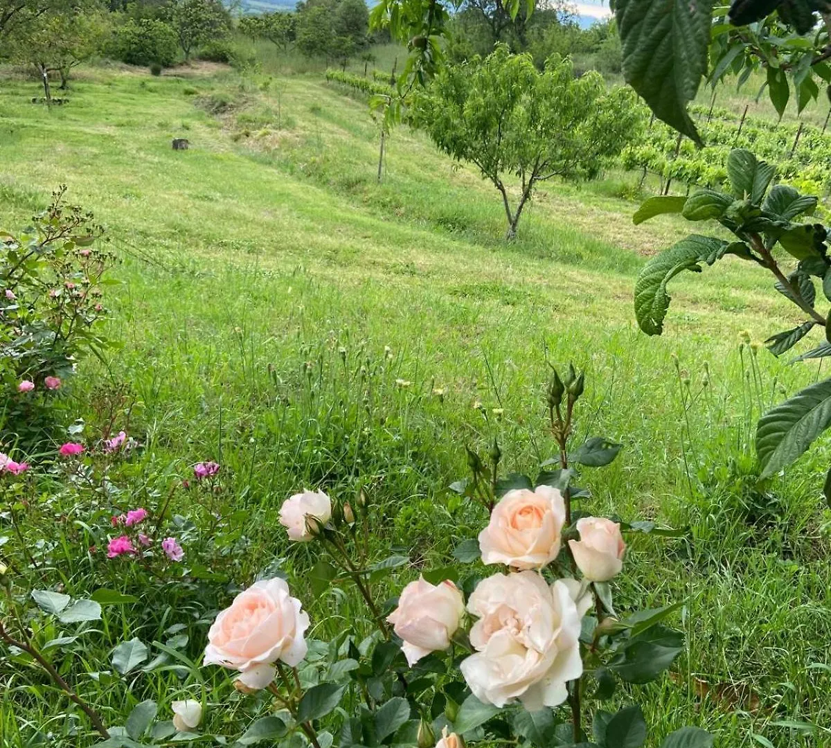 Farm stay Tenuta Le Mandorlaie, Agriturismo In Scansano