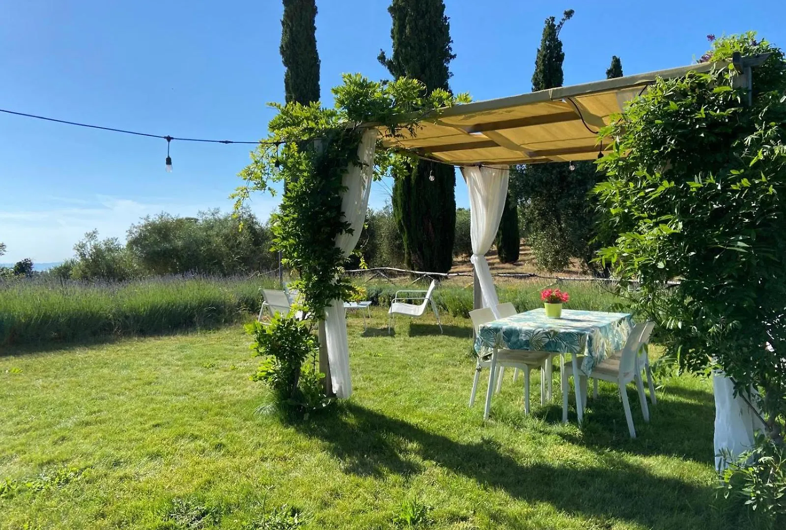 Tenuta Le Mandorlaie, Agriturismo In Scansano Farm stay