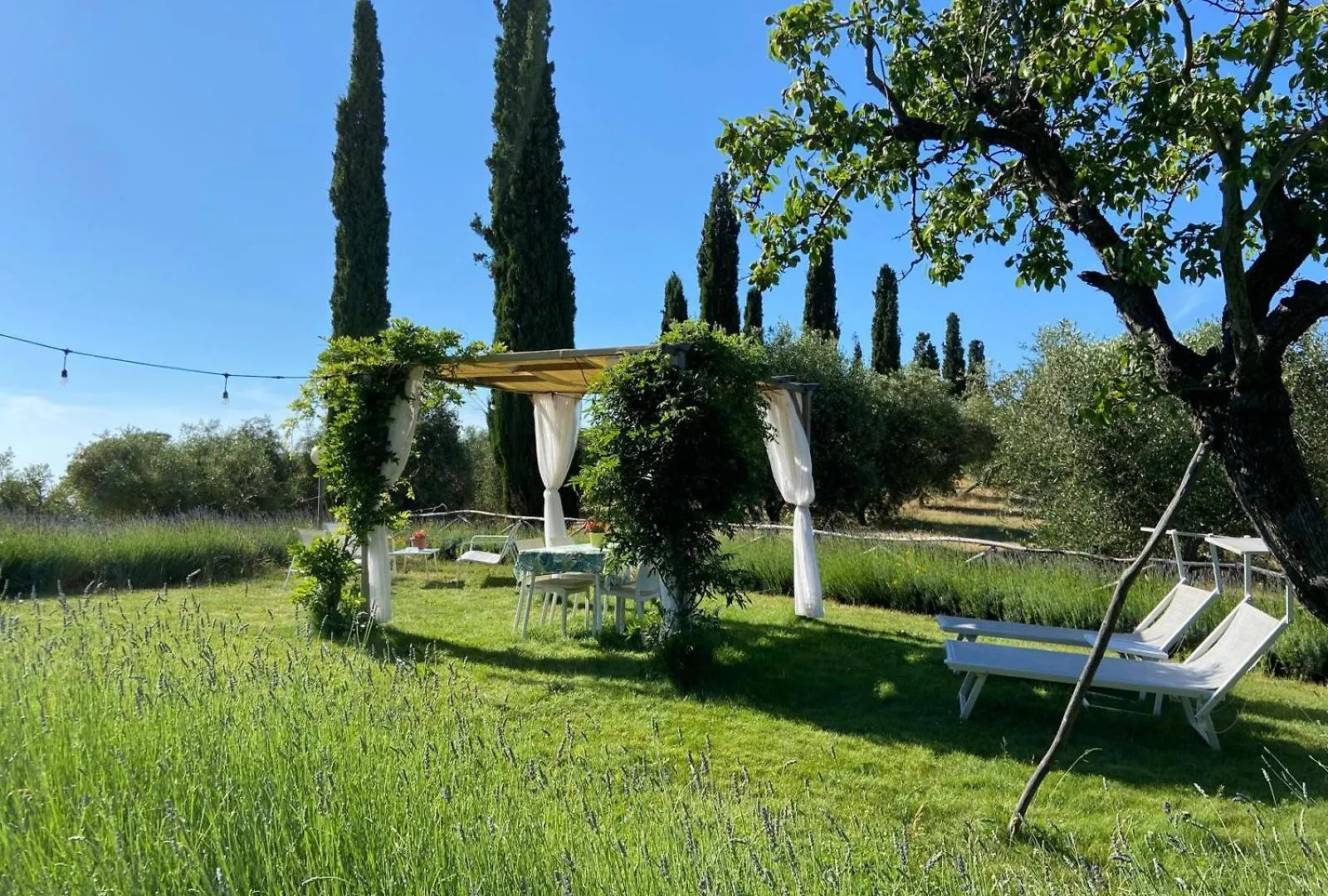Farm stay Tenuta Le Mandorlaie, Agriturismo In Scansano Italy