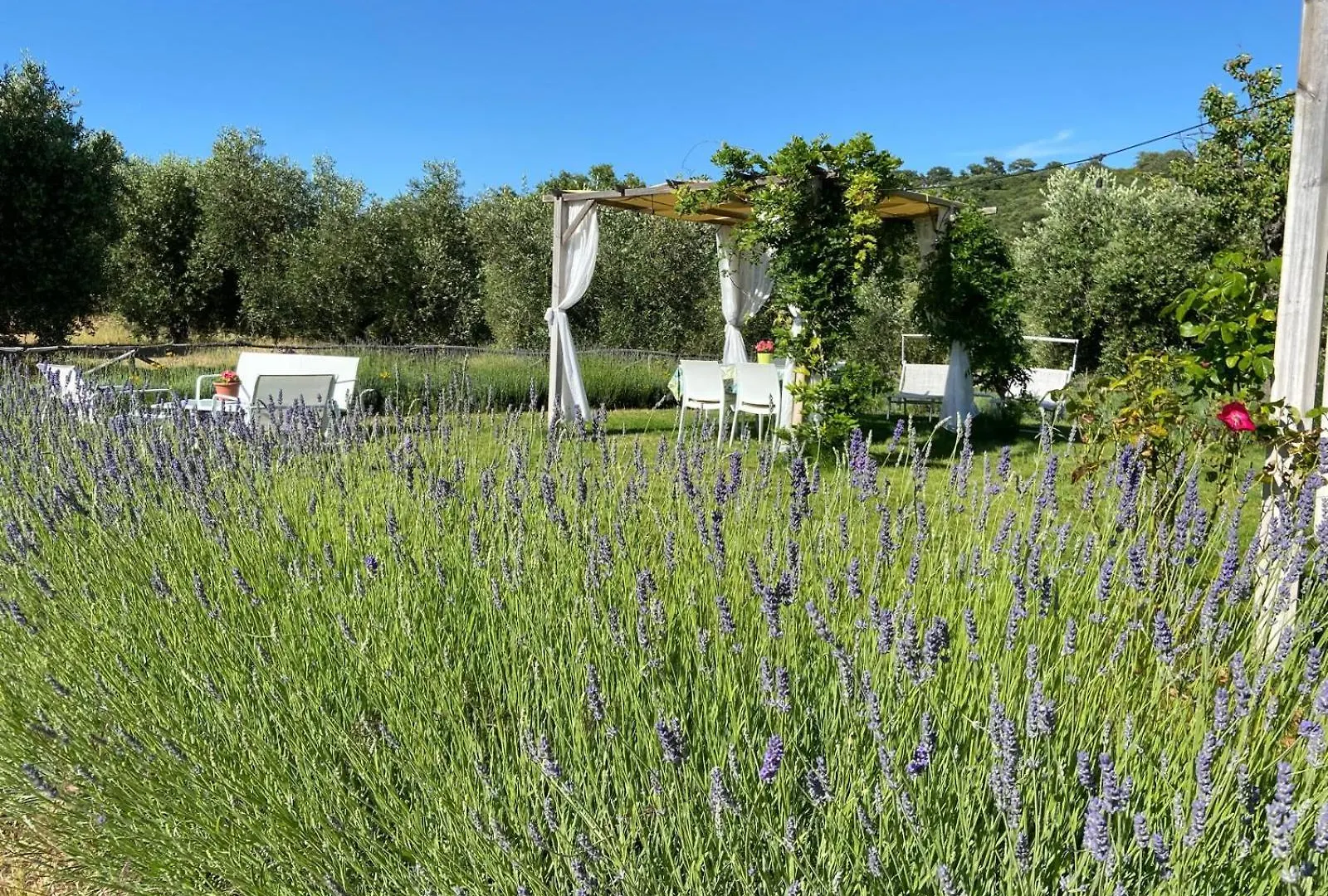 Tenuta Le Mandorlaie, Agriturismo In Scansano
