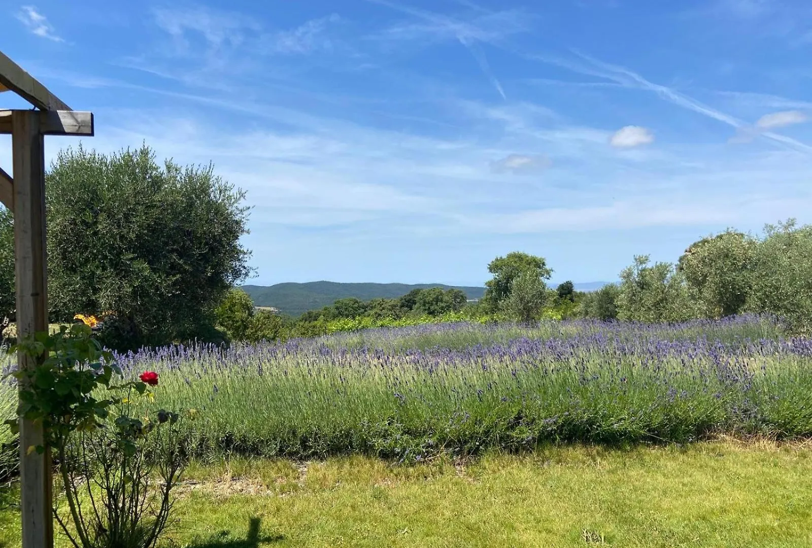 Farm stay Tenuta Le Mandorlaie, Agriturismo In Scansano