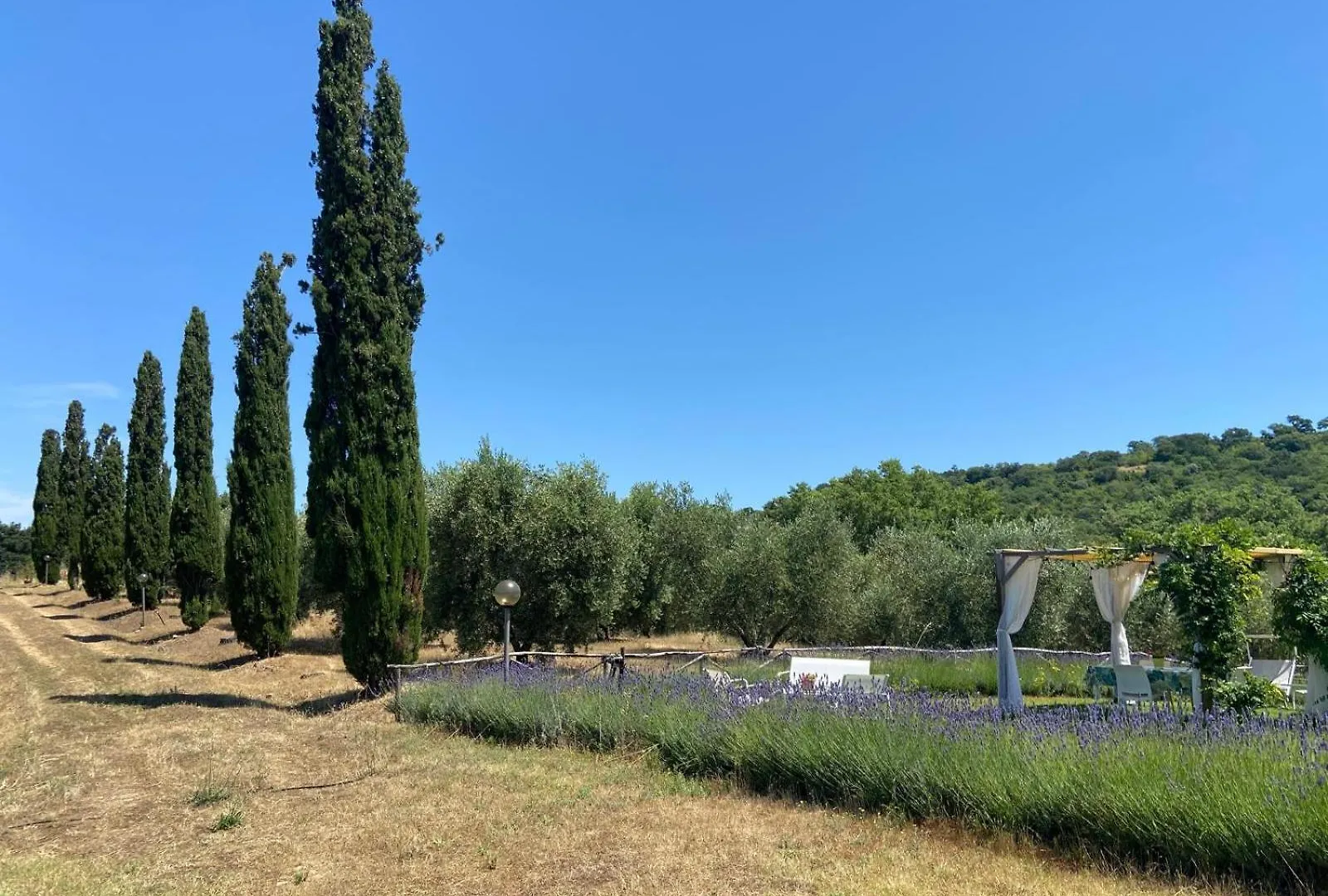 Tenuta Le Mandorlaie, Agriturismo In Scansano Italy