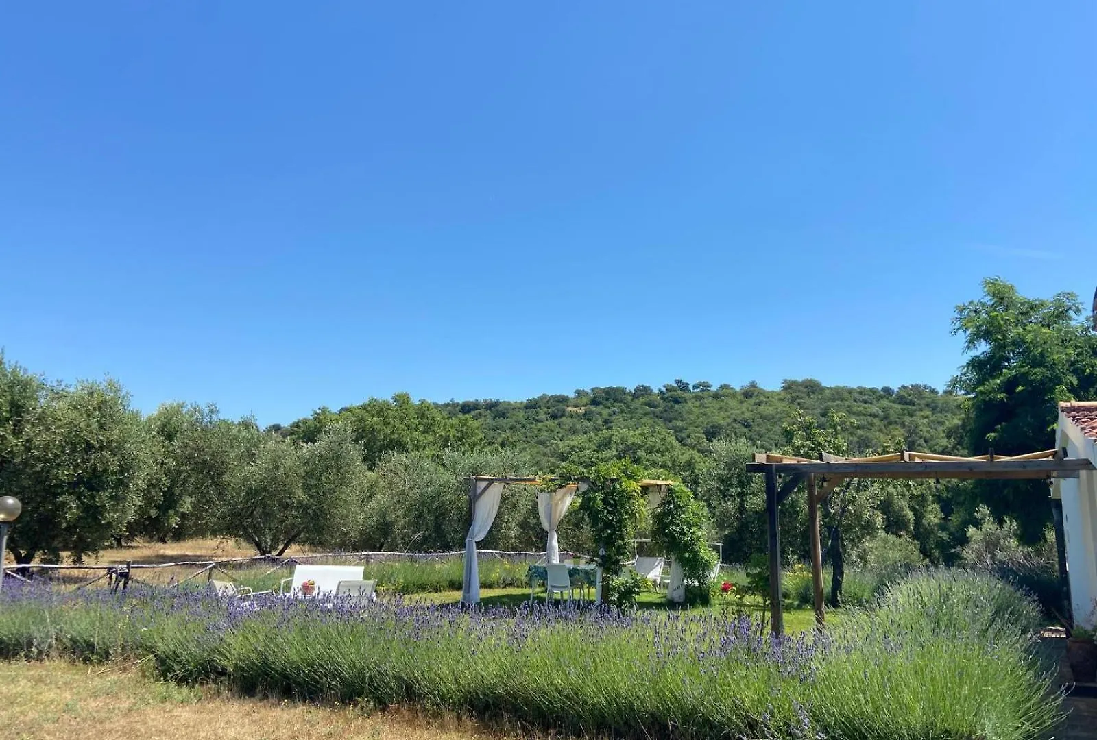 Tenuta Le Mandorlaie, Agriturismo In Scansano 0*,  Italy