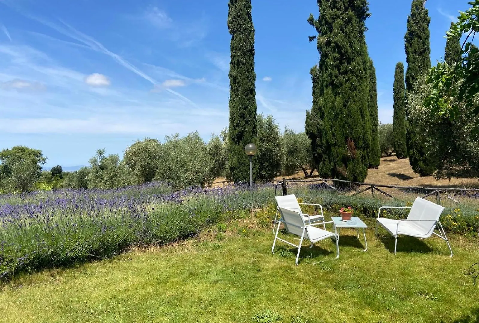Farm stay Tenuta Le Mandorlaie, Agriturismo In Scansano Italy