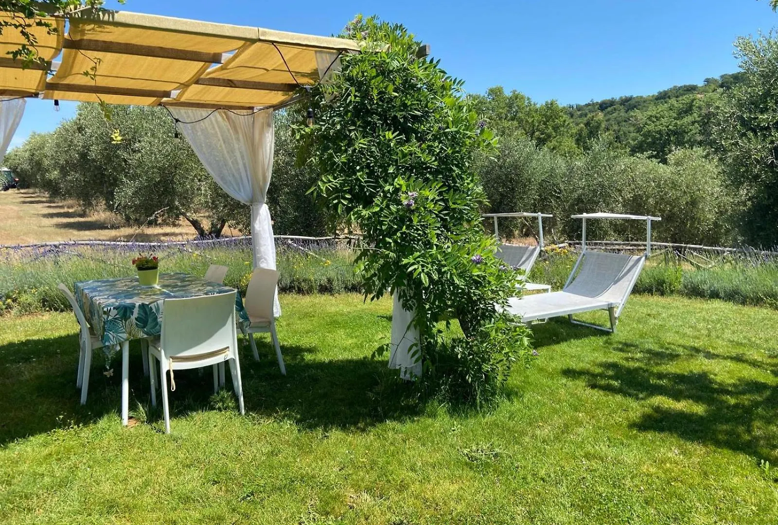 Tenuta Le Mandorlaie, Agriturismo In Scansano 0*,