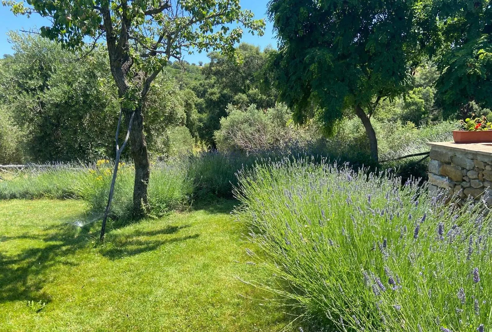 Tenuta Le Mandorlaie, Agriturismo In Scansano Farm stay