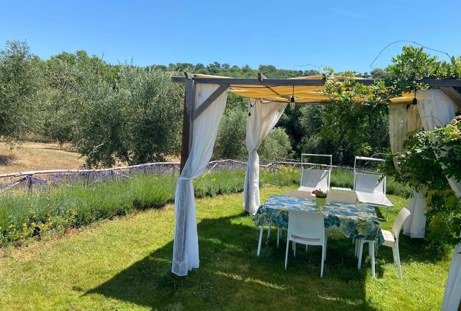 Tenuta Le Mandorlaie, Agriturismo In Scansano