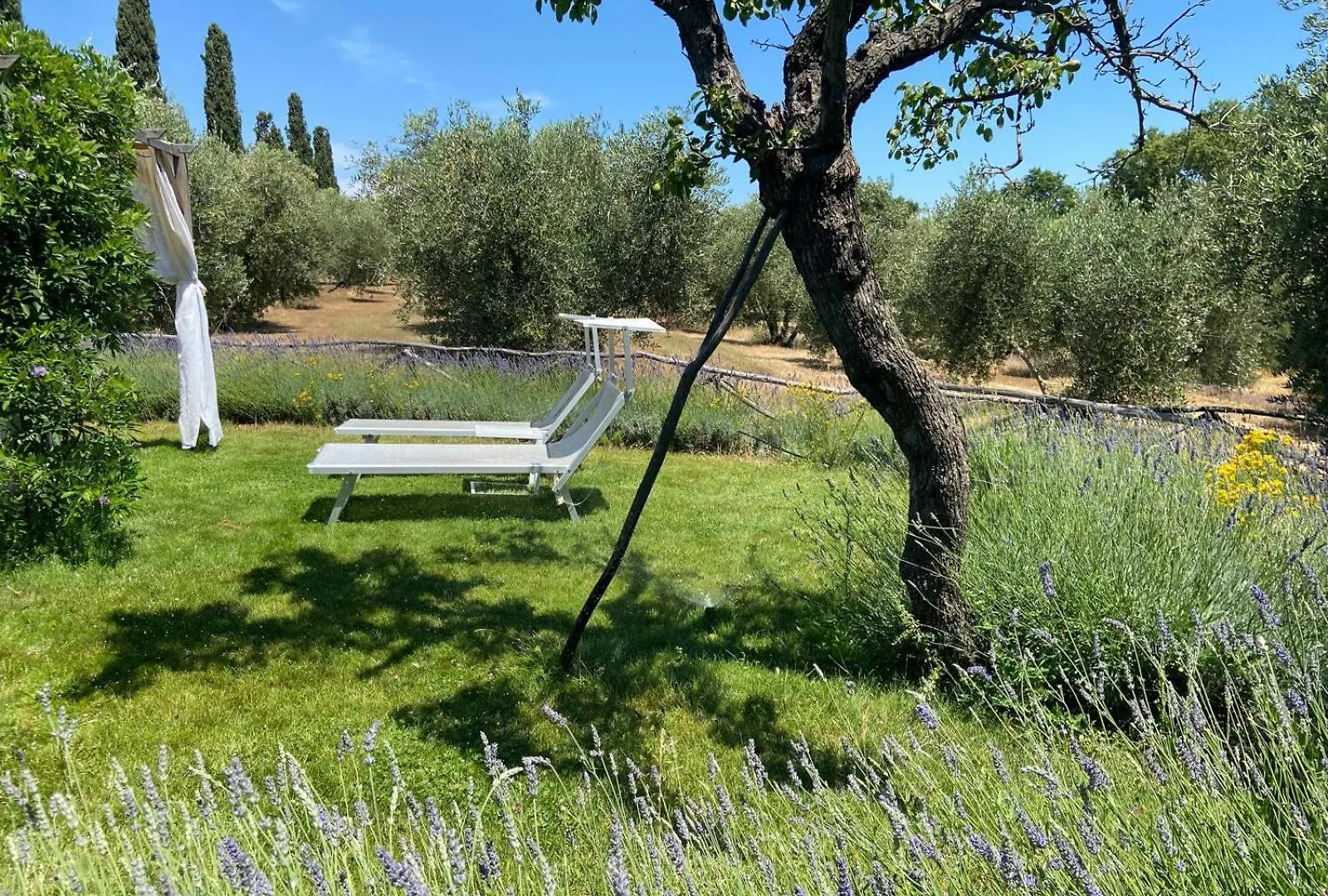 Farm stay Tenuta Le Mandorlaie, Agriturismo In Scansano