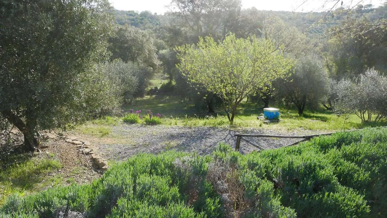 Tenuta Le Mandorlaie, Agriturismo In Scansano 0*,