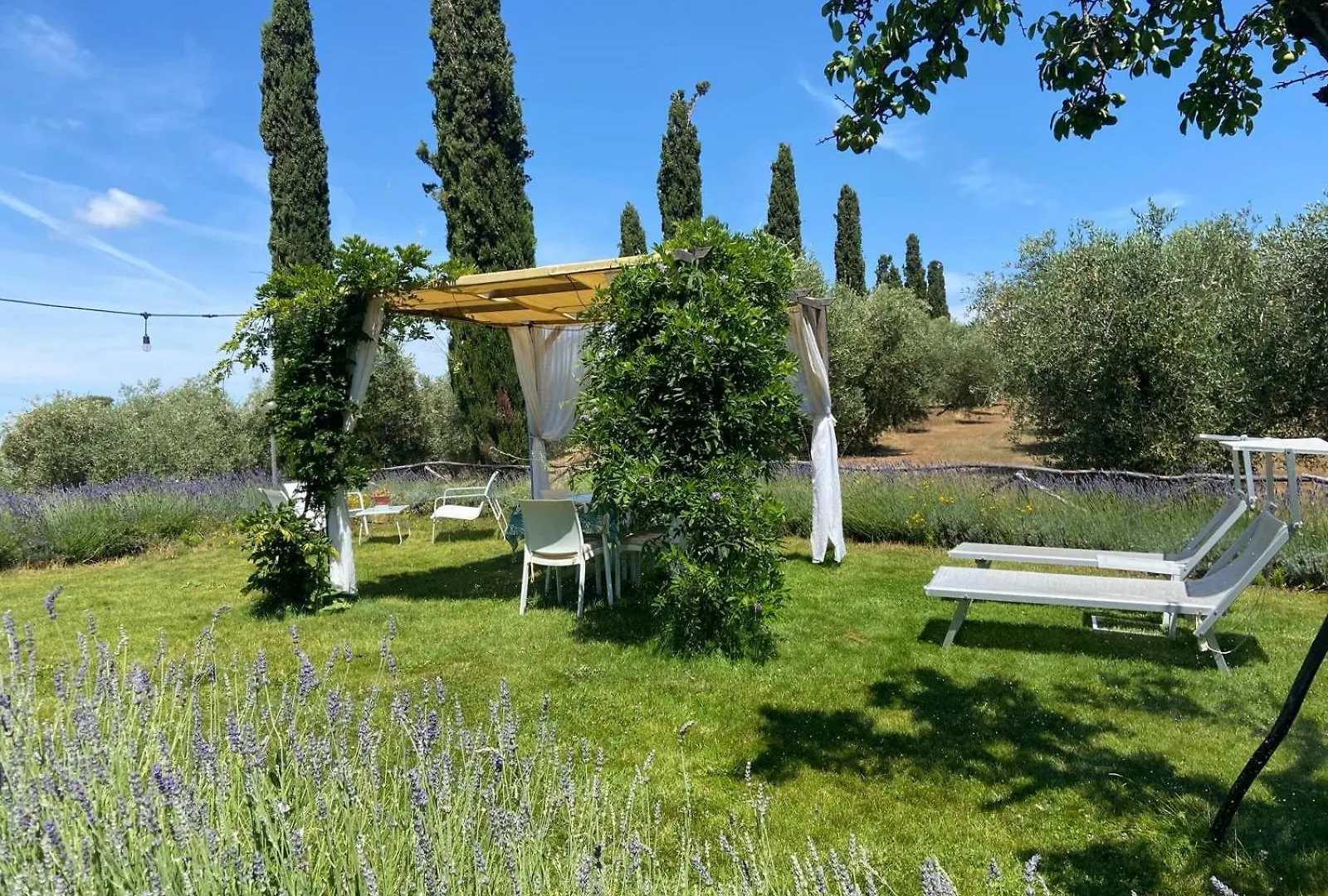 Tenuta Le Mandorlaie, Agriturismo In Scansano