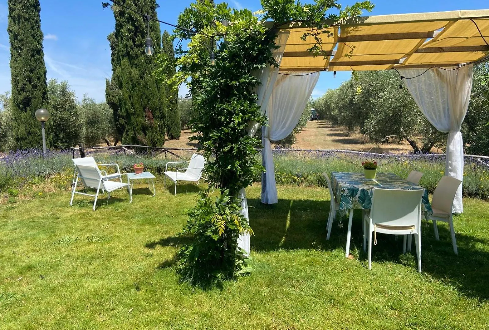 Farma Tenuta Le Mandorlaie, Agriturismo In Scansano